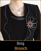 Bro Brooch