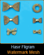 Hasr Fligram